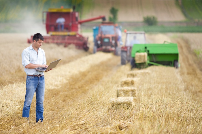 Agricoltura, Lollobrigida: 41 milioni di euro per le assicurazioni