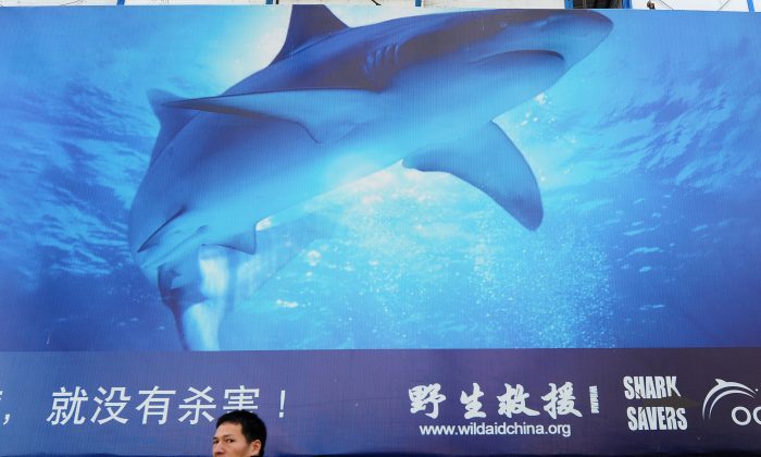 Un pedone passa davanti di una pubblicità a Shanghai. (FREDERIC J. BROWN/AFP/Getty Images)