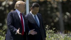 Xi “vuole” Taiwan da Trump