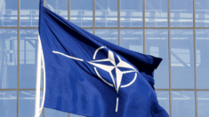 La Nato svelerà un «ponte verso l’adesione» dell’Ucraina