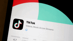 Tiktok raccoglie informazioni sulle opinioni degli utenti su questioni sociali?