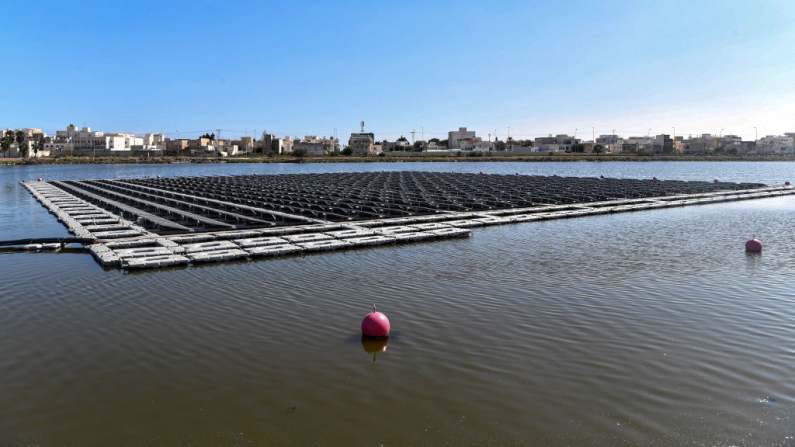 Impianto fotovoltaico in Tunisia (Foto:  FETHI BELAID/AFP via Getty Images).