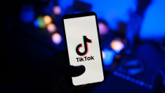 DeepSeek condivide dati con la controllante di TikTok