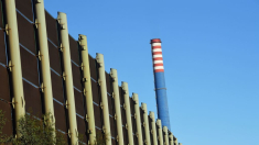 Ex Ilva, Uilm: verificheremo condizioni per accordo Cigs, urgente incontro a palazzo Chigi