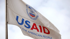 Cosa c’è dietro Usaid e i suoi 50 miliardi di budget