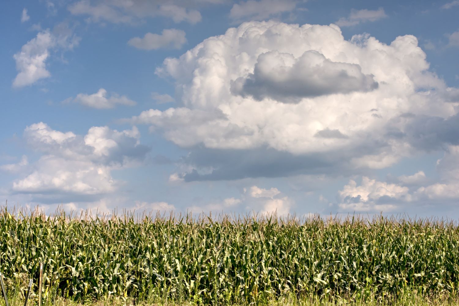 Politica agricola comunitaria e ricambio generazionale