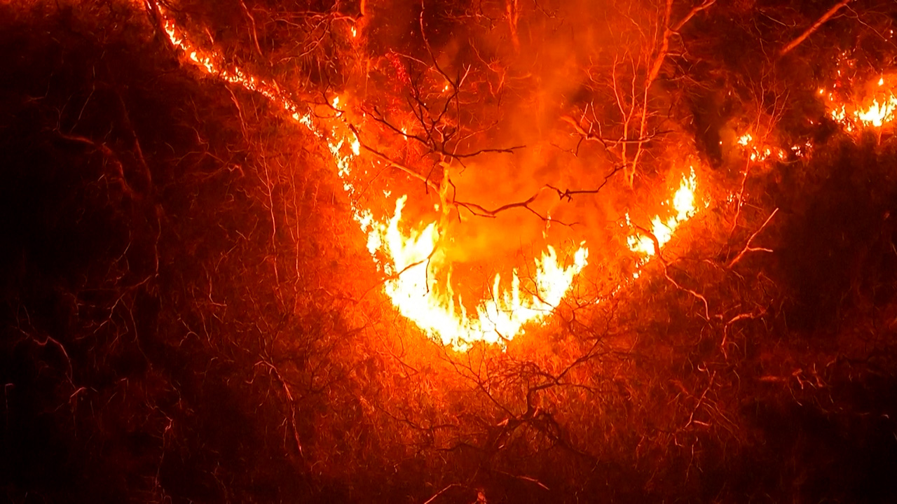 Emergenza incendi in Corea del Sud