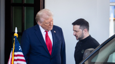 Ucraina: Foti, ieri non c’è stato un capolavoro di diplomazia tra Trump e Zelensky